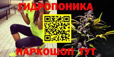 гашишное масло Будённовск