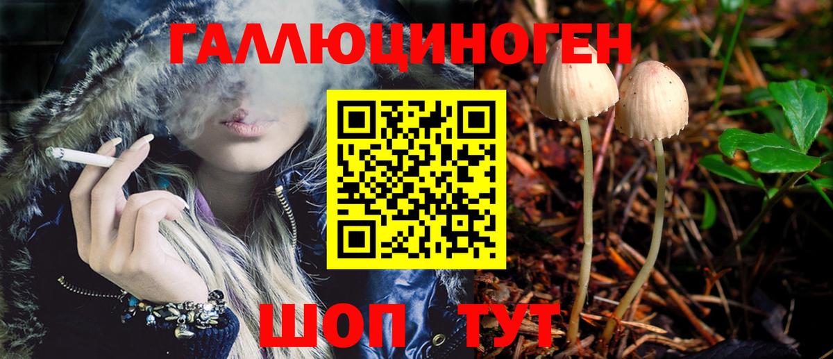 где найти наркотики  Вход с VPN  Углич  Галлюциногенные грибы GOLDEN TEACHER 