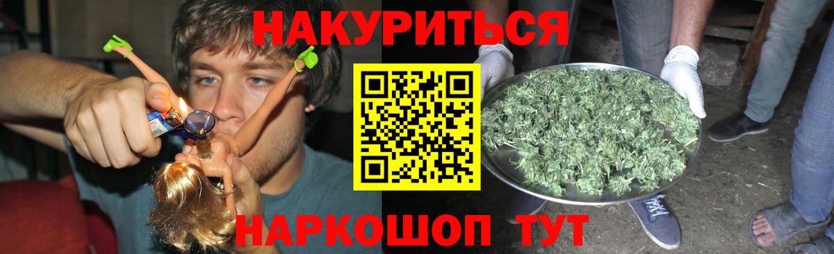 Конопля гибрид Углич